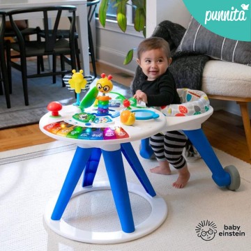 Baby Einstein AWG Around We Grow 4 IN 1